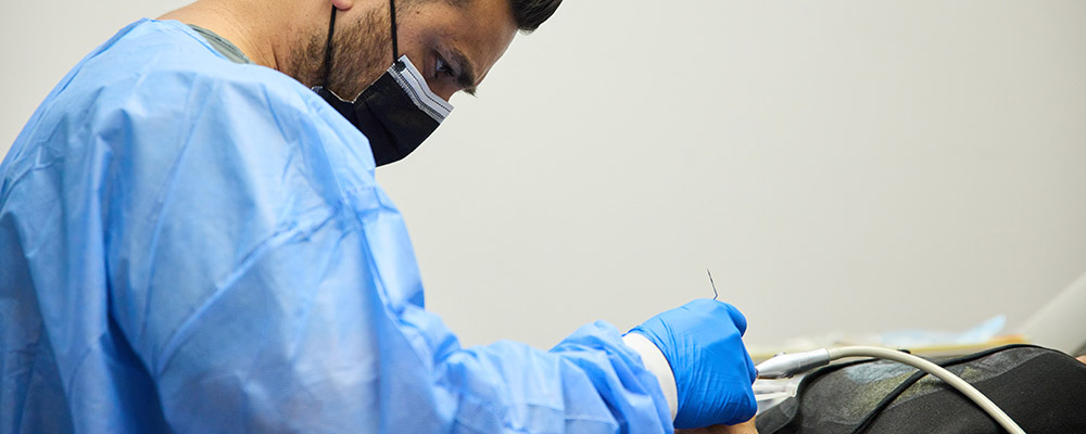 Dr Hamid's Educational Background